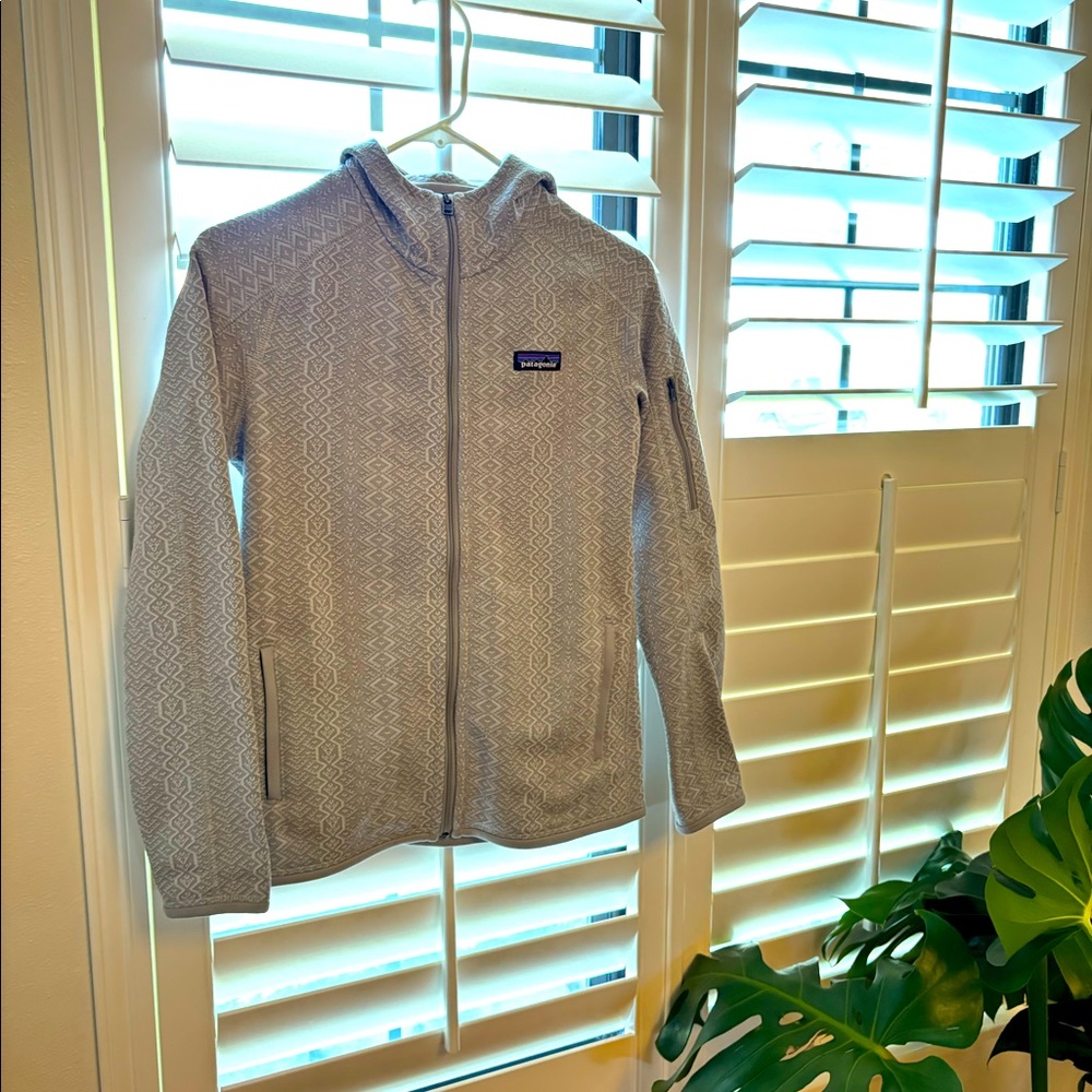 Patagonia Zip Up